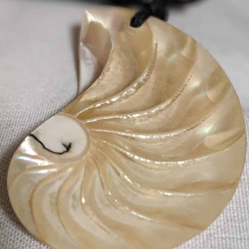 Shell Necklace